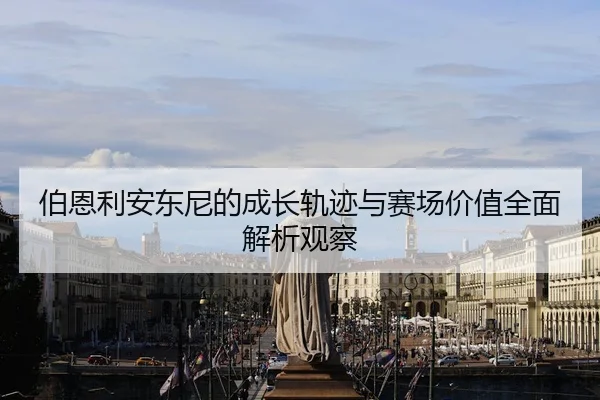 伯恩利安东尼的成长轨迹与赛场价值全面解析观察