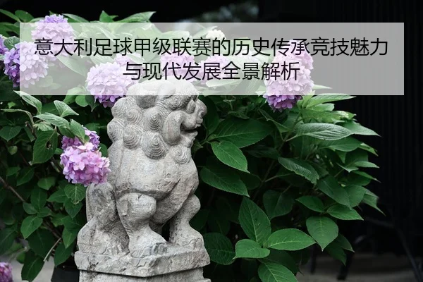 意大利足球甲级联赛的历史传承竞技魅力与现代发展全景解析