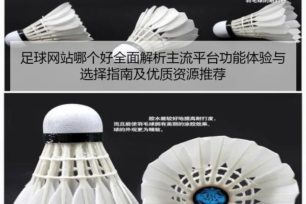 zu-qiu-wang-zhan-na-ge-hao-quan-mian-jie-xi-zhu-liu-ping-tai-gong-neng-ti-yan-yu-xuan-ze-zhi-nan-ji-you-zhi-zi-yuan-tui-2-756.jpg